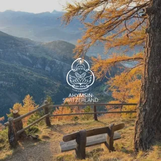 AHYMSIN Switzerland logo
