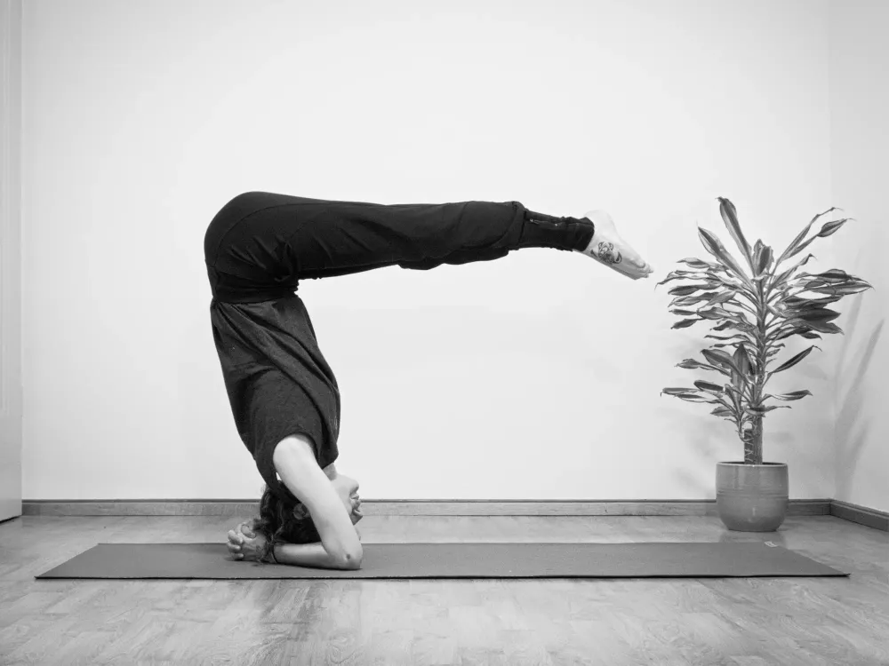 ALESSIA YOGA cover
