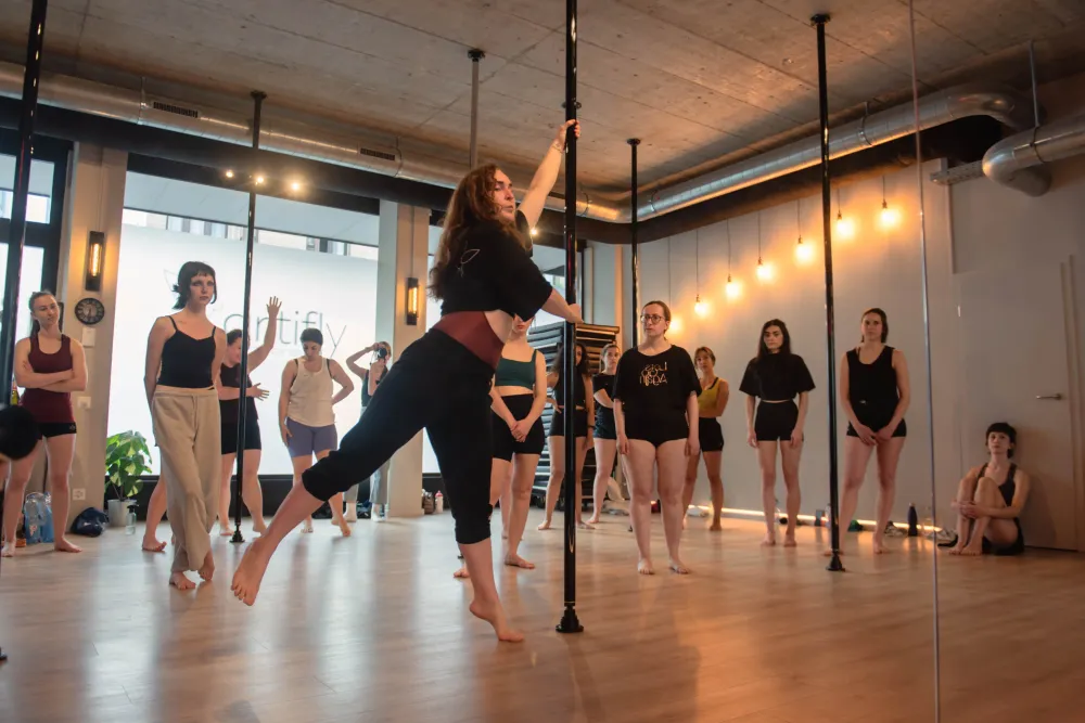 artifly pole dance studio cover