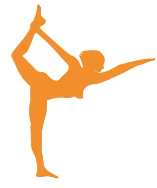 Body Control logo
