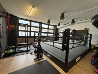 BXNG Fitness & Kampfsport logo