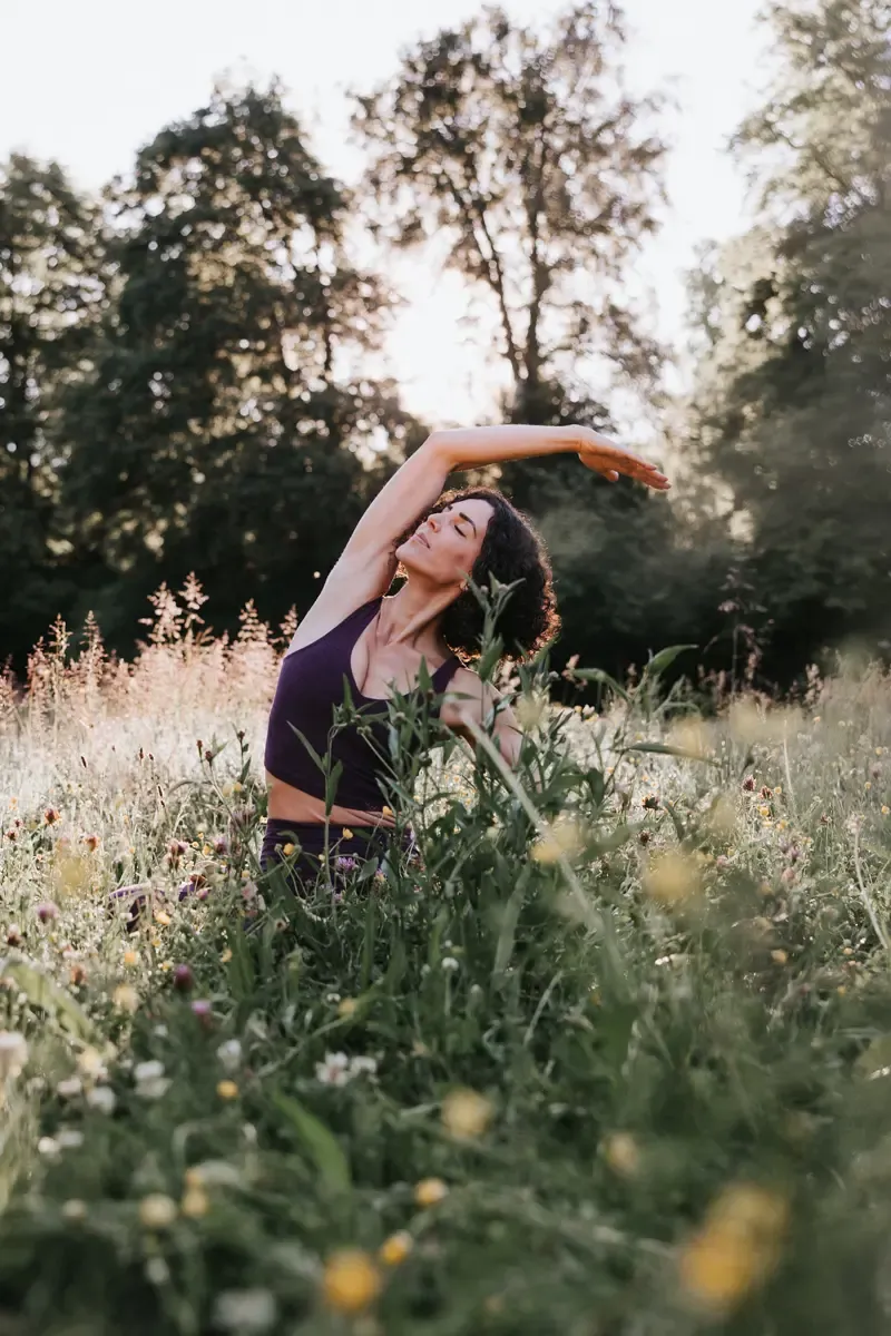 FemmeFlow by Sarah Menzi cover