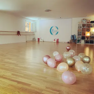 Flow Dance Loft logo