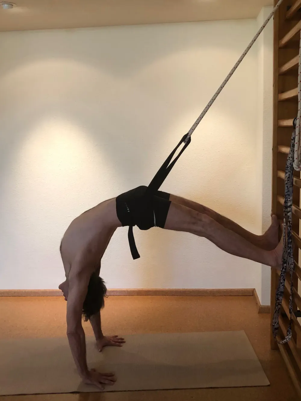 Iyengar Yoga Center Vasili und Maya Vlachos cover