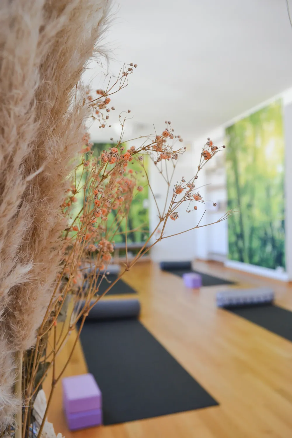 Luminaissance cover