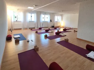 Nici's Prana Yoga logo