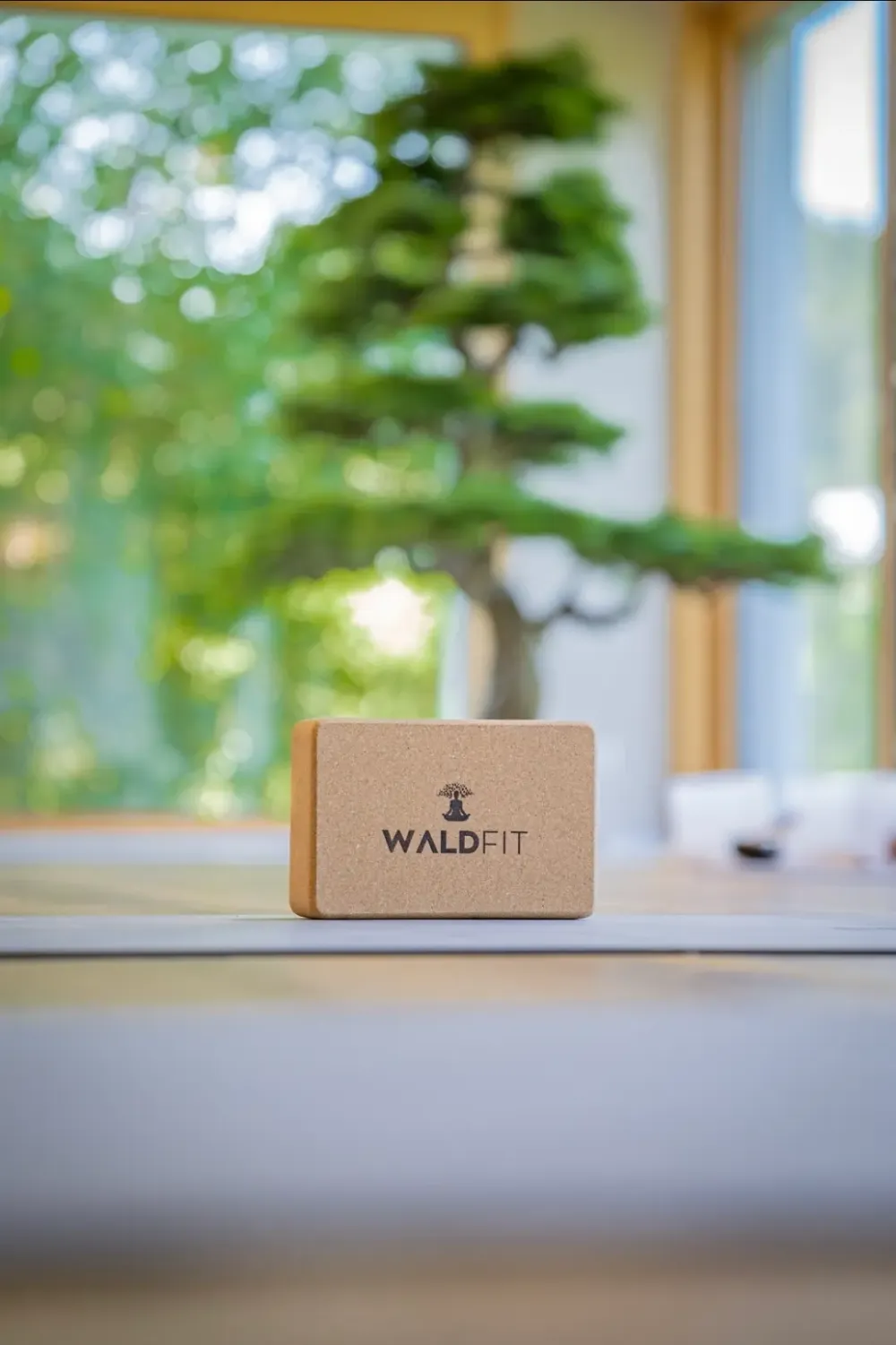 WaldFit cover